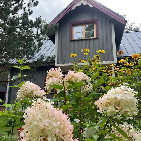 Luxury Pitraga Vilni Villa *